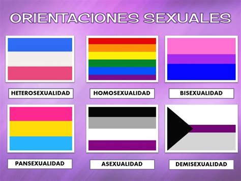 banderas de sexo|¿Conoces las Banderas de las diferentes orientaciones sexuales ...